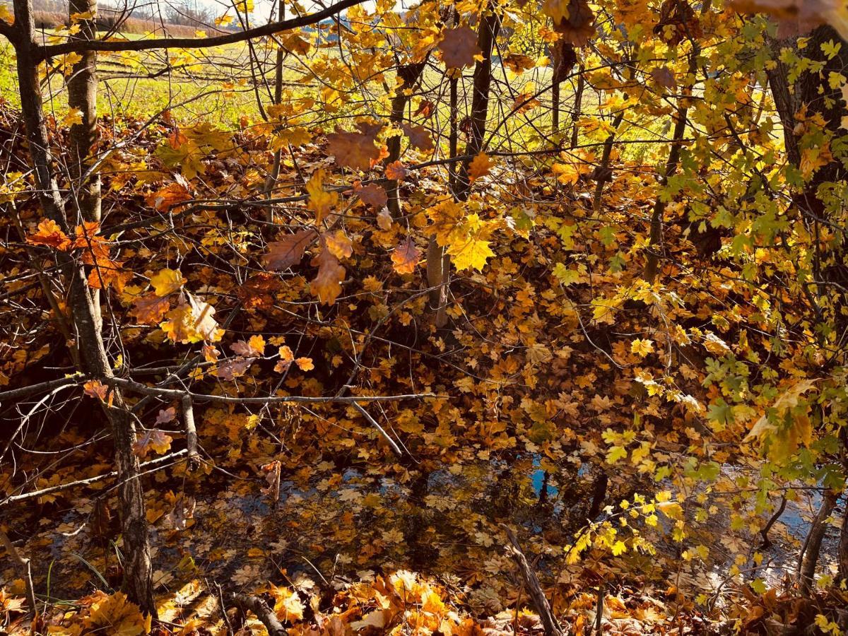 Ferienwohnung I Beck-Braeu Nahe Bamberg Lisberg Bagian luar foto